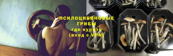 марки lsd Богородицк