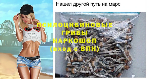 экстази Богданович