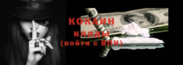 индика Снежинск